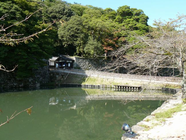 �F����E����