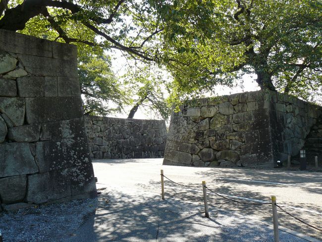 �F����E��������