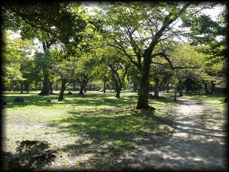 �F����E���̊�