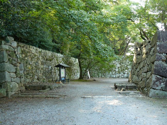 �F����E����