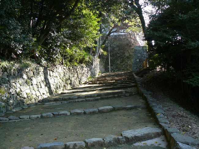 �F����E����