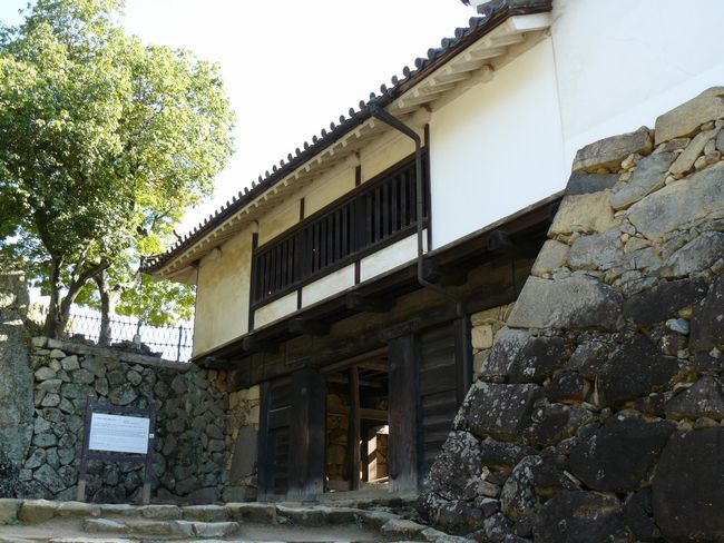 �F����E���ۖ�E�E���E