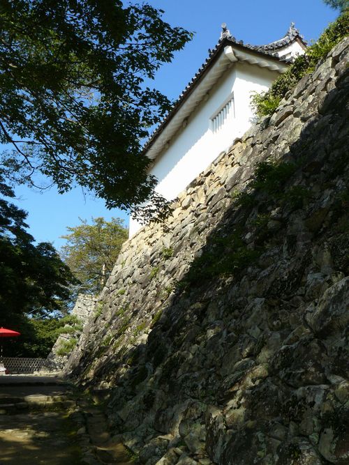 �F����E���ۖ�E�E���E