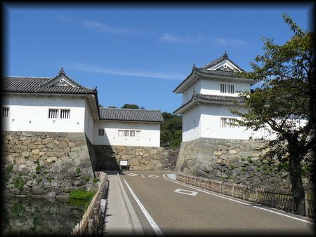 �F����E��̊ۍ��a�������E