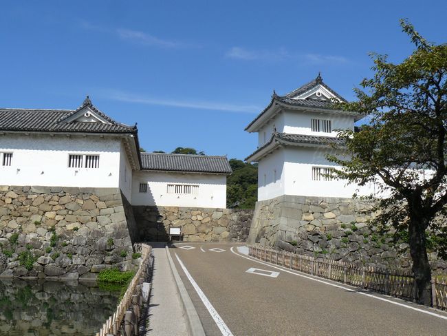 �F����E��̊ۍ��a�������E