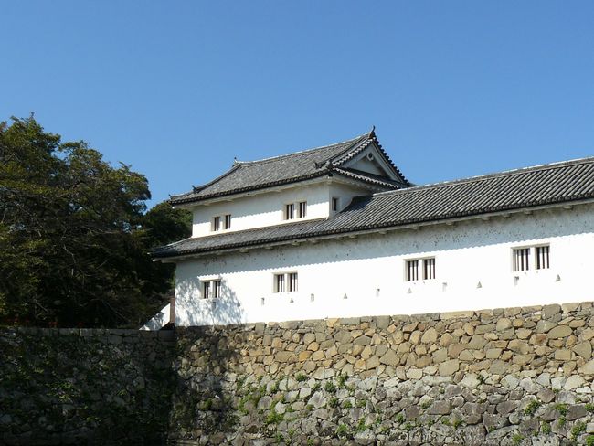 �F����E��̊ۍ��a�������E