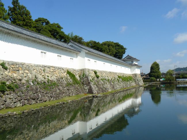 �F����E��̊ۍ��a�������E