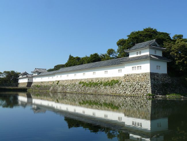 �F����E��̊ۍ��a�������E