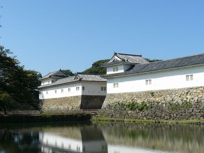 �F����E��̊ۍ��a�������E