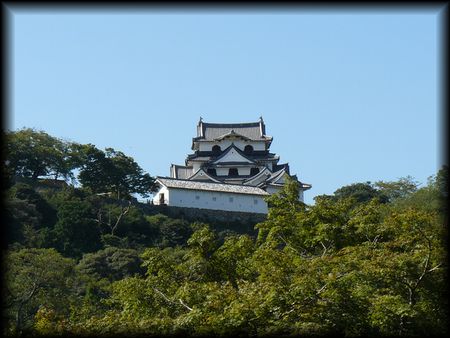 �F����E�V��t