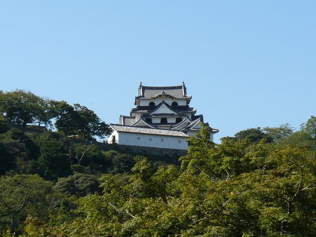 �F����E�V��t