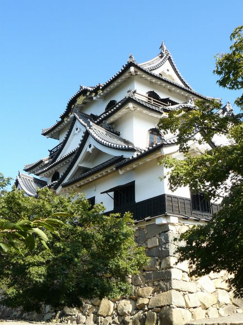 �F����E�V��t