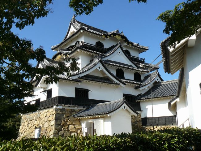 �F����E�V��t