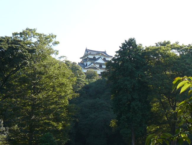 �F����E�V��t