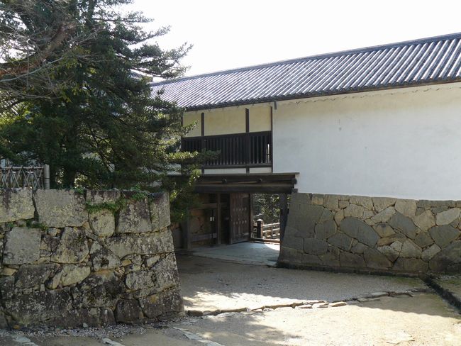 �F����E�V���E