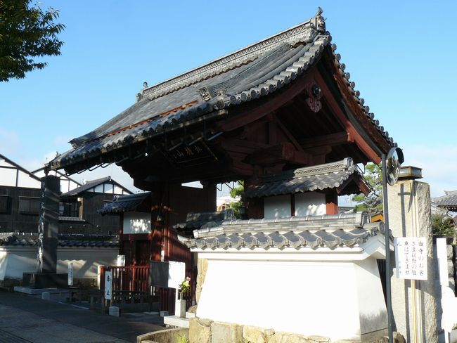 �F���s�E�@����