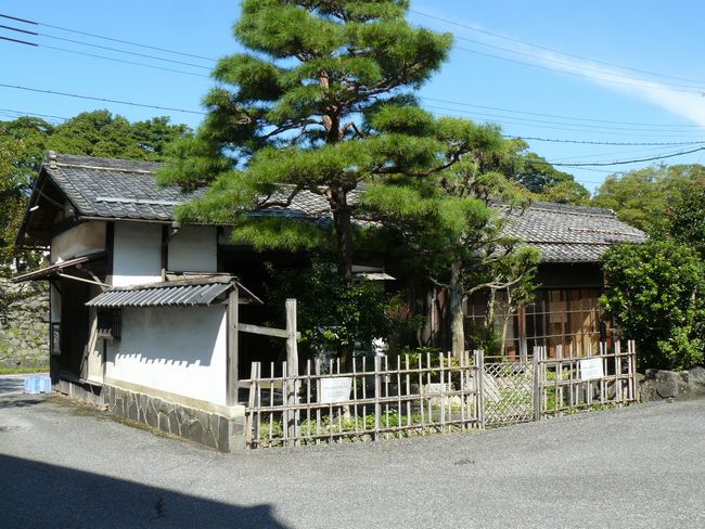 �F���s�E����؉Ɖ��~������