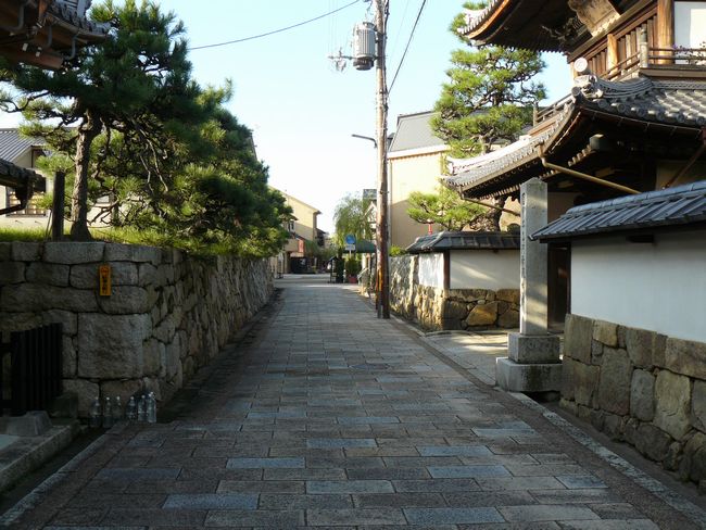 �F���s�E����