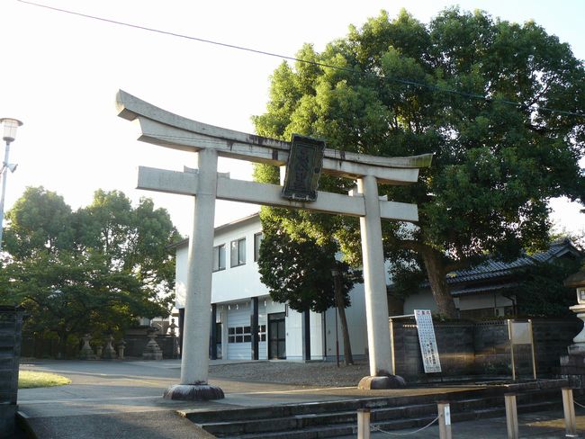 �F���s�E���_��