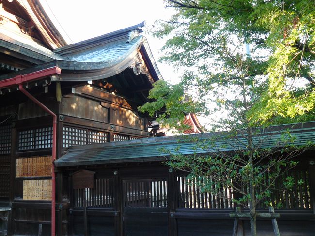 �F���s�E���_��