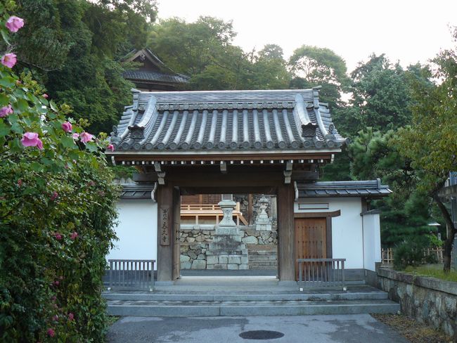 �F���s�E���v��