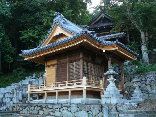 �F���s�E���v��