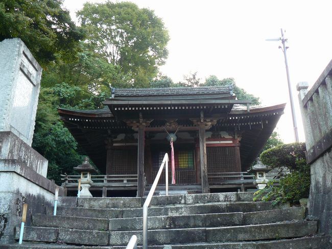 �F���s�E���v��