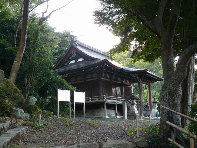 �F���s�E���v��