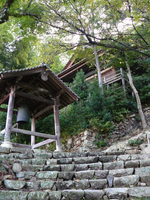 �F���s�E���v��