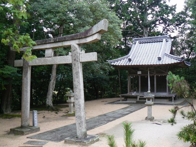 ���쒬�E�S���_��