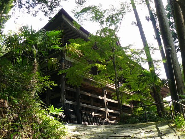 �ΎR���E�{��