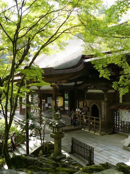 �ΎR���E�{��