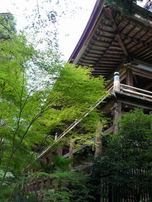 �ΎR���E�{��