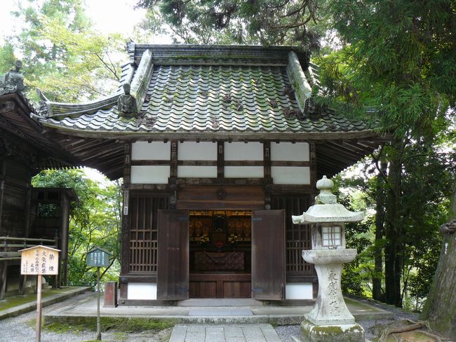 �ΎR���E�ω���