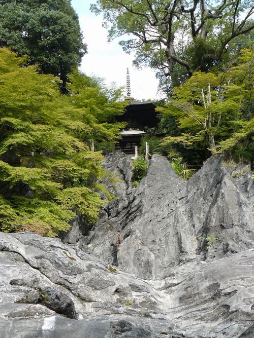 �ΎR���E��D��