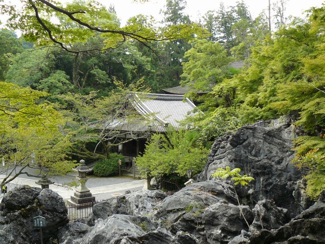 �ΎR���E��D��