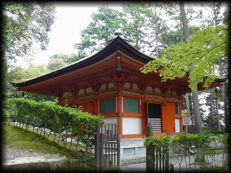 �ΎR���E�S�o��