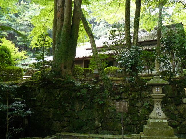 �ΎR���E�����@