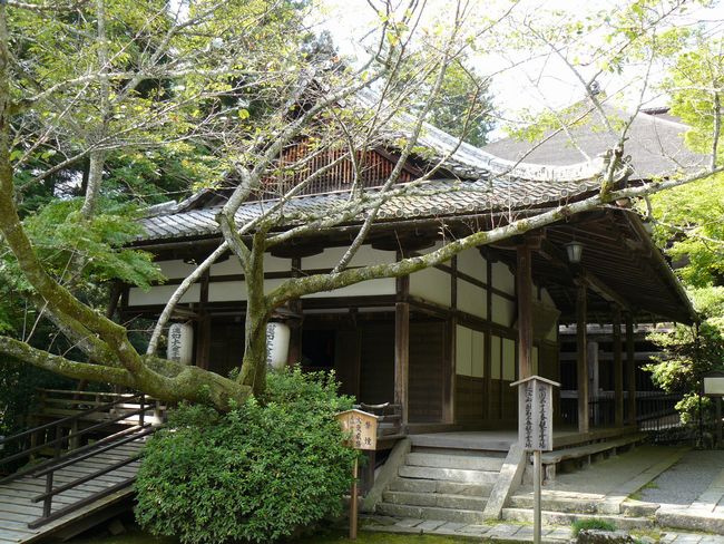 �ΎR���E�@�@��