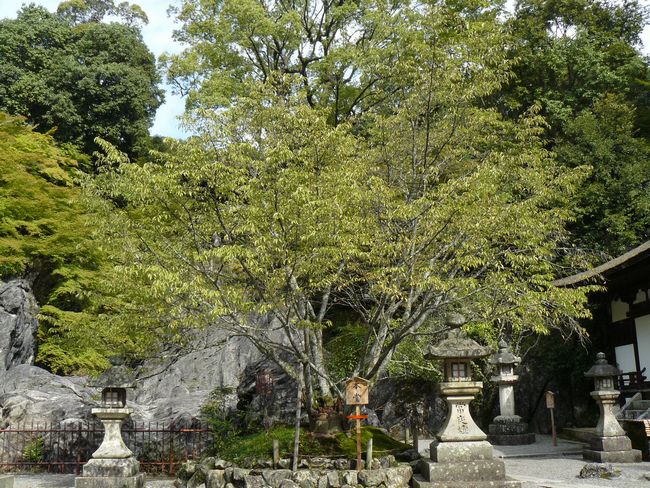 �ΎR���E�Ǖُ��