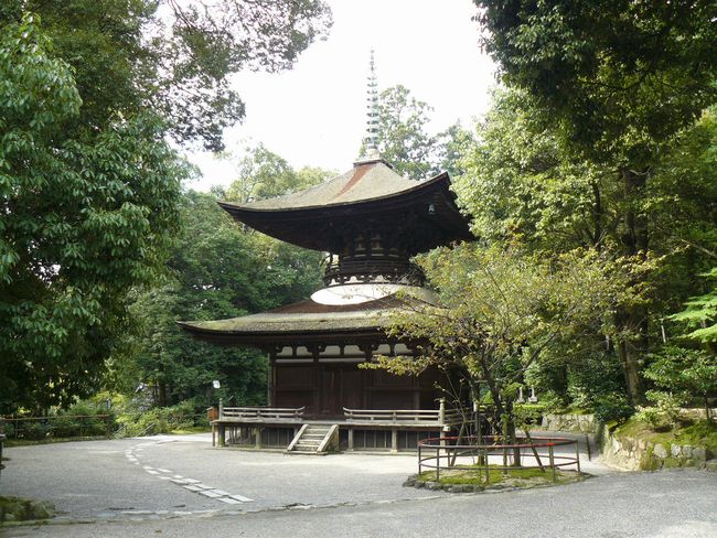 �ΎR���E����