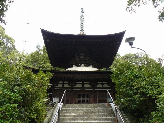 �ΎR���E����