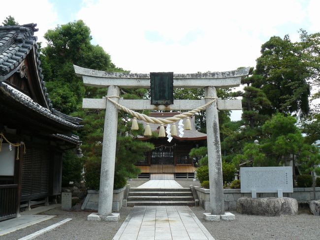 �{��ˏ鉺���F���}�_��