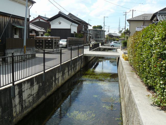 �{��ˏ鉺���F�w��