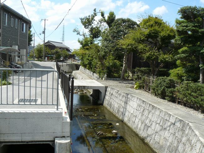 �{��ˏ鉺���F�w��