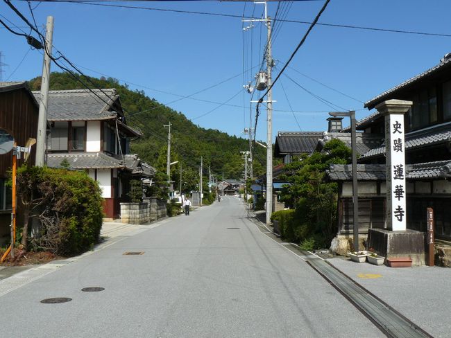 �ԏ�h�E������