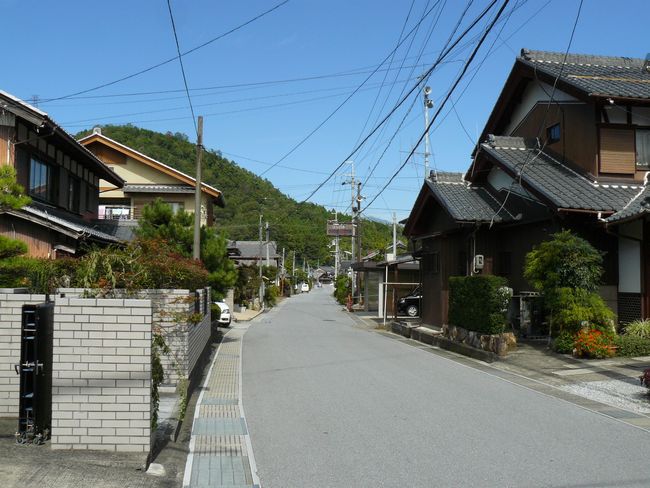 �ԏ�h�E������