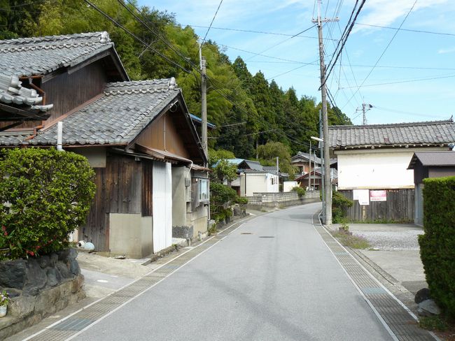 �ԏ�h�E������