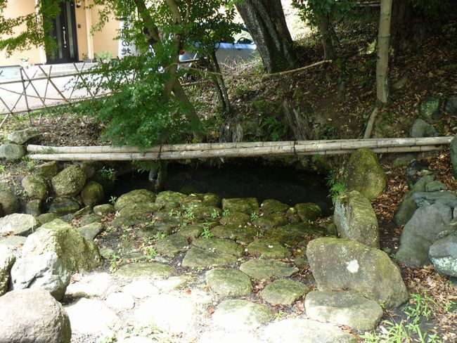 ���̏h�E�����r