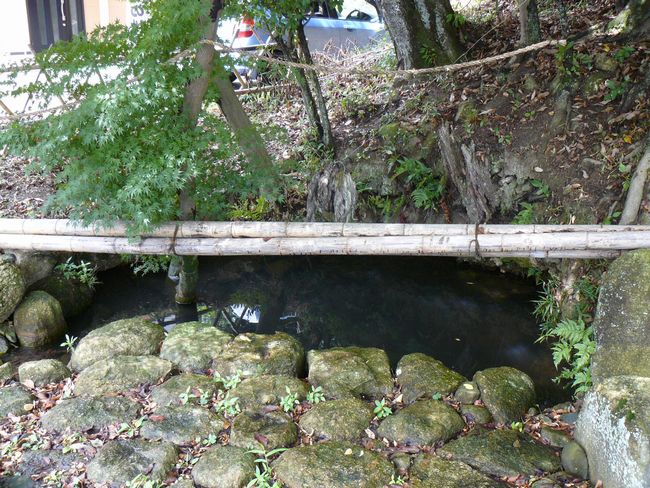 ���̏h�E�����r